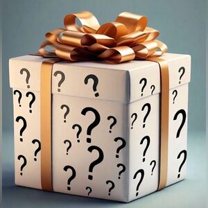 ¿¡Mystery Box!? Contains 4 dresses - all NWT size 1X